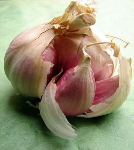aglio aumentare difese immunitarie