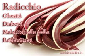 radicchio
