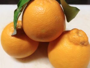frutta e verdura di gennaio