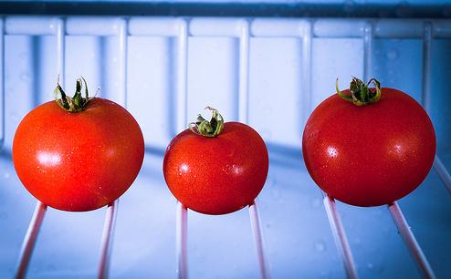 conservare i pomodori