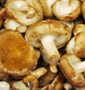 aumentare le difese immunitarie funghi shiitake