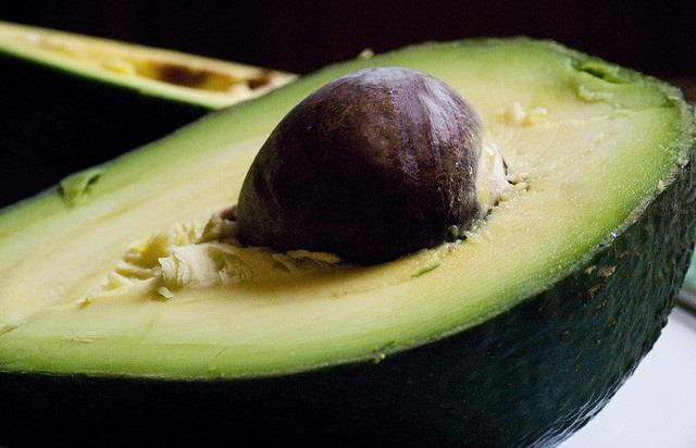 avocado coltivazione