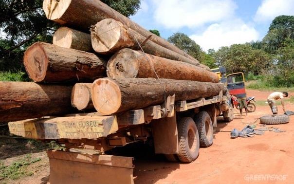 Carregamento de madeira em Itinga do Maranhão. Caminhão sem placa levanta suspeitas de carga ilegal. (©Greenpeace/Ismar Ingber/Tyba)