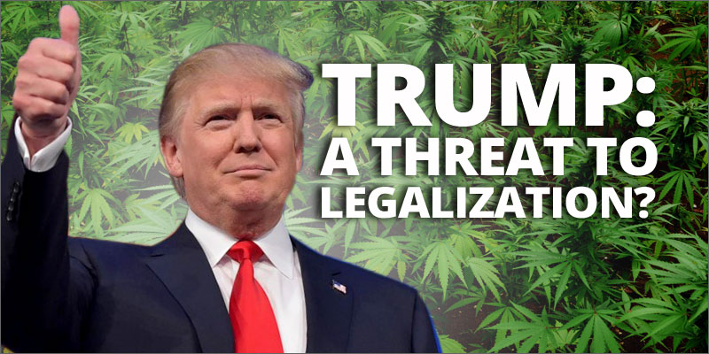 trump legalizzazione cannabis