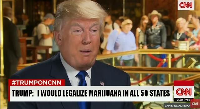 Trump cannabis 