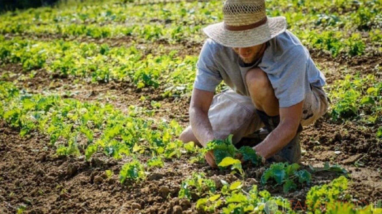AGRICOLTURA