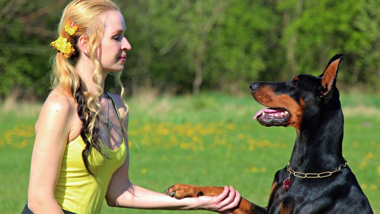 Gli animali sono ormai un bene di lusso?