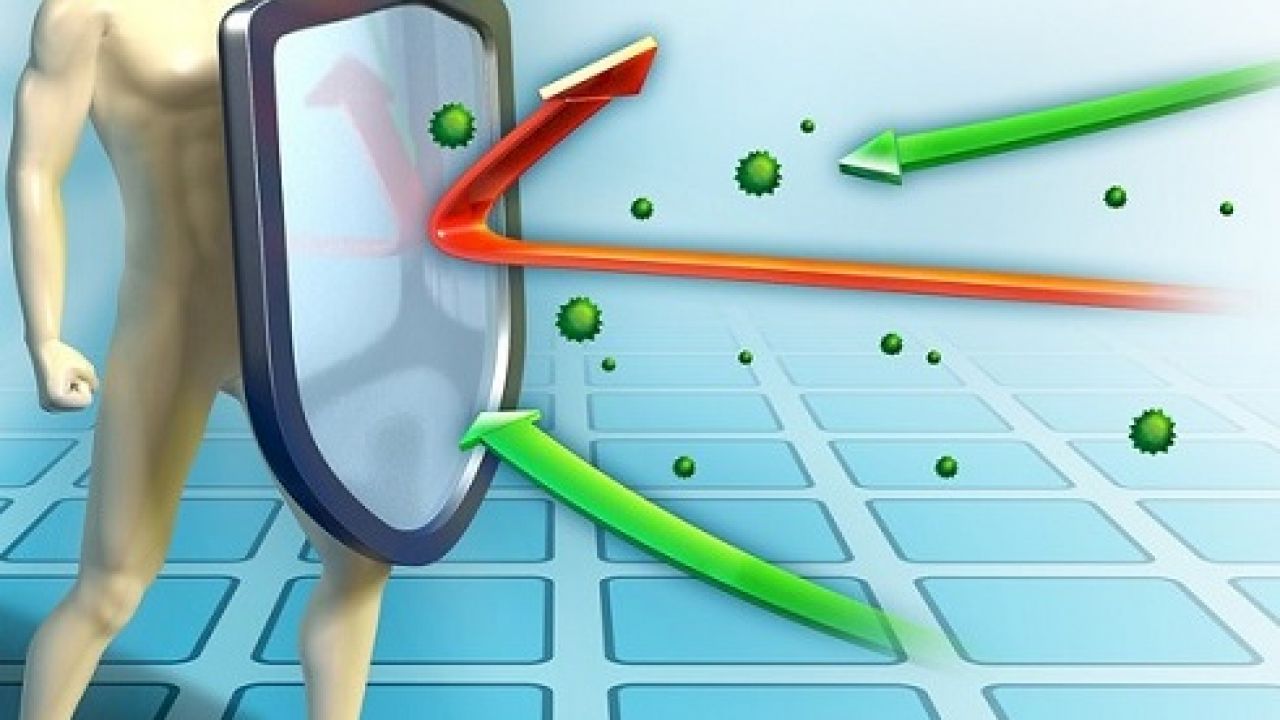Difese immunitarie basse? Fatti aiutare da queste 5 erbe