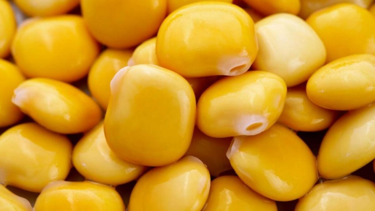 LUPINI