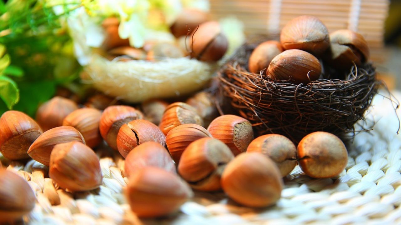 Proprietà benefiche delle nocciole