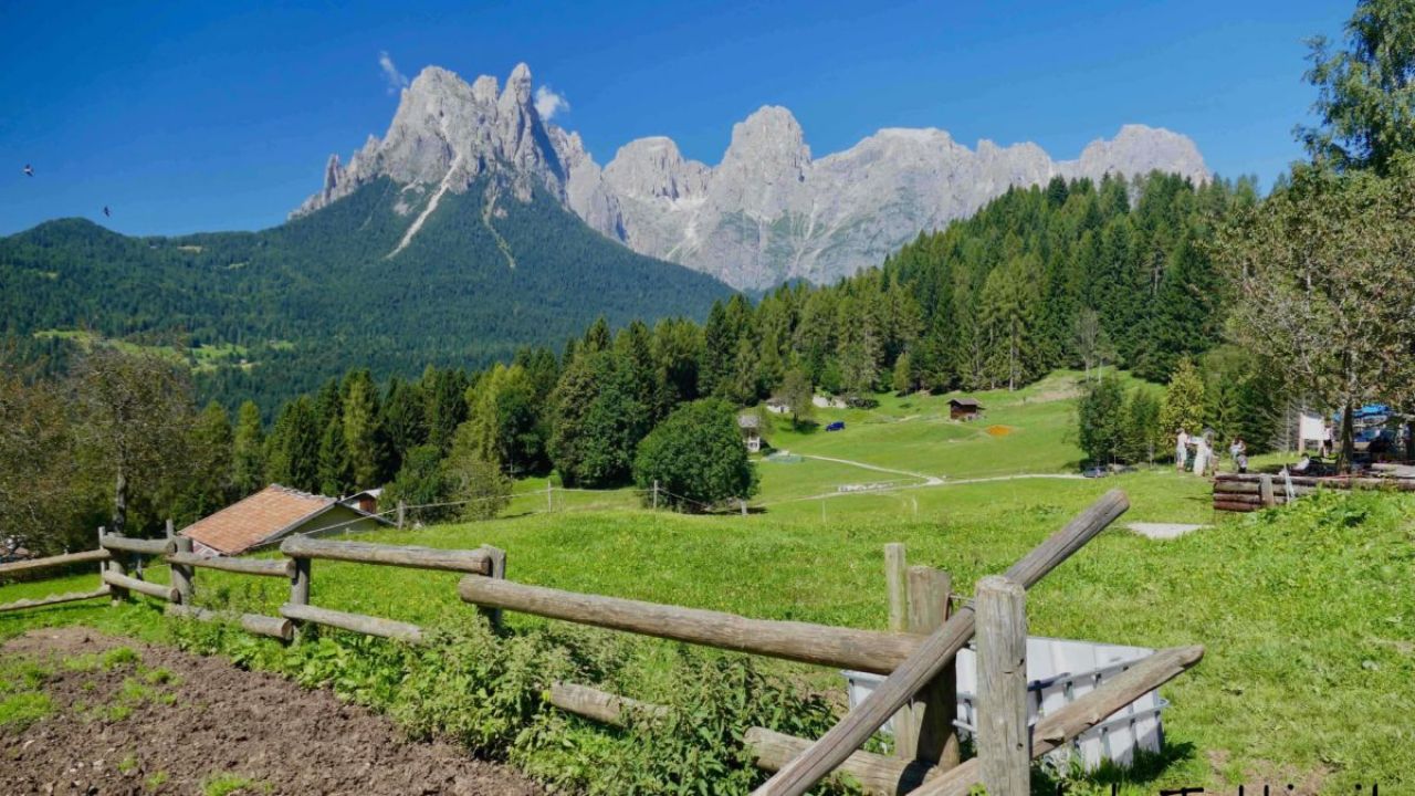 PARCO LESSINIA