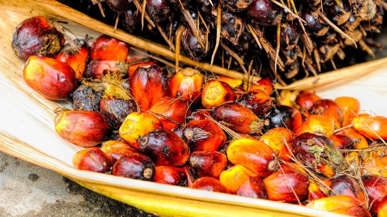 Lista dei prodotti senza olio di palma