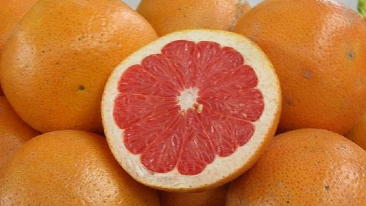 Ecco tutte le incredibili proprietà del pompelmo