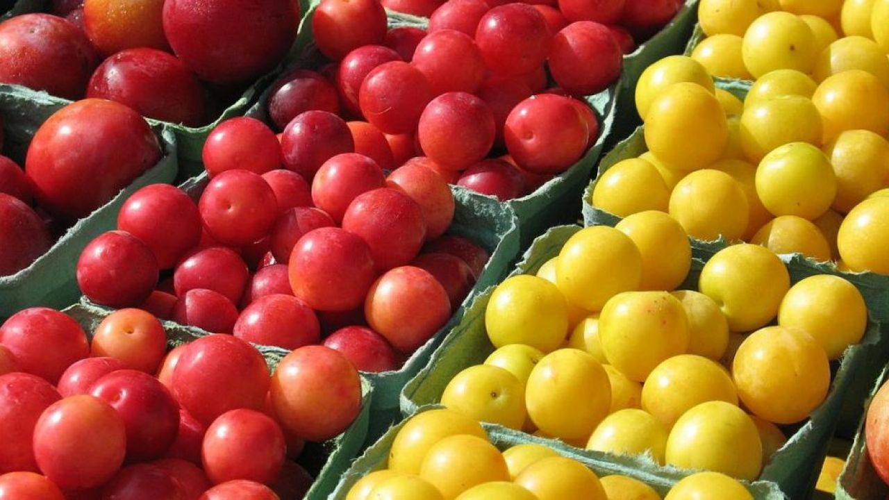 Rimedi naturali contro la stitichezza