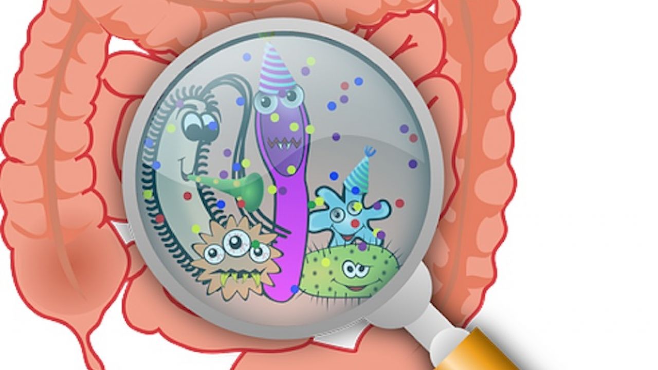 proliferazione batterica