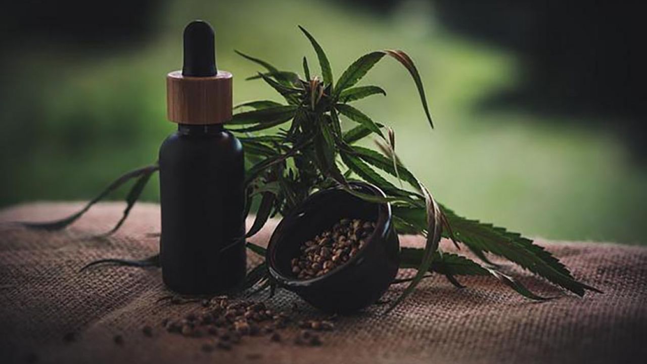 corsi di cannabinologia