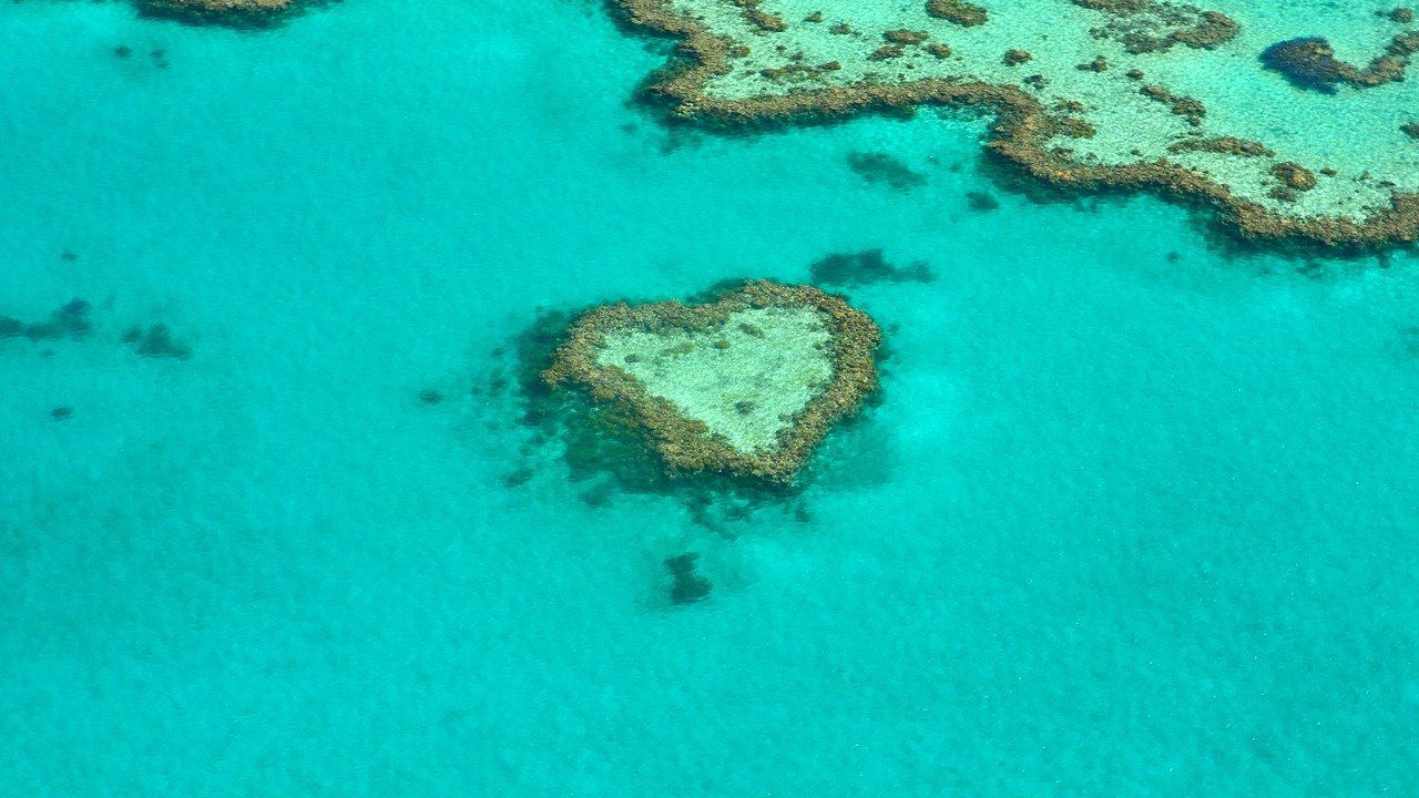 barriera corallina
