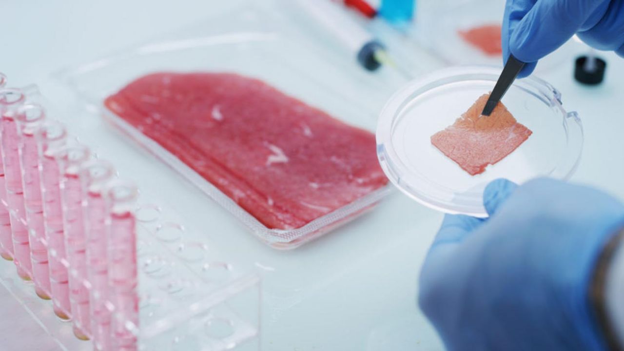 Carne coltivata in laboratorio