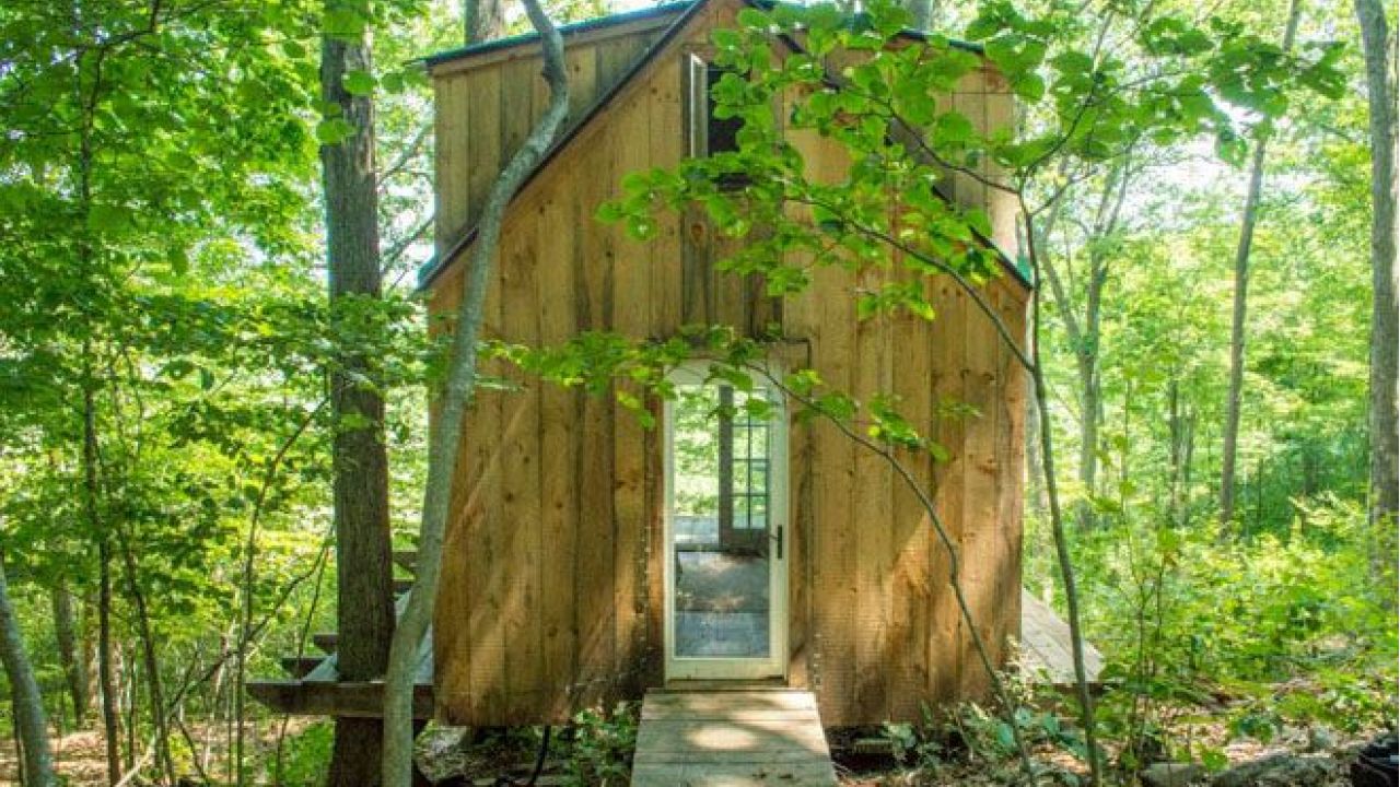 casa nel bosco 4000 dollari