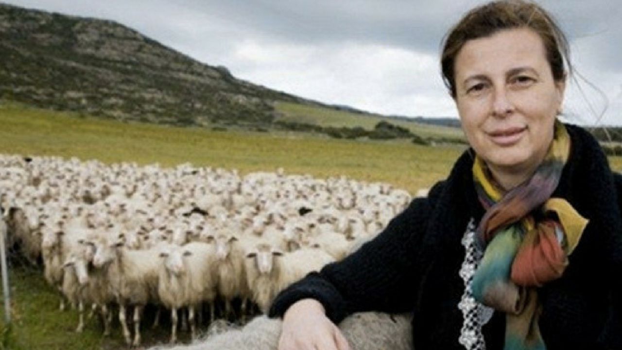 Le case ecologiche (e innovative) di Daniela Ducato