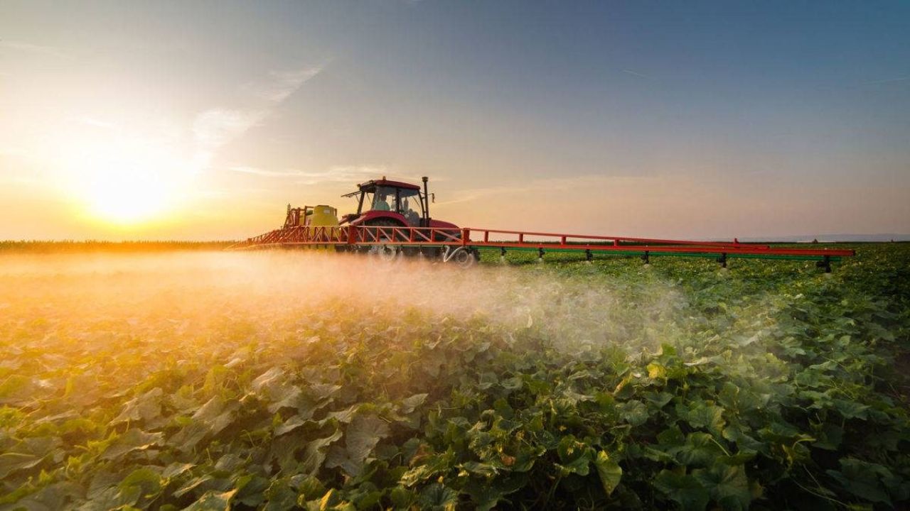 dicamba erbicida pericoloso bayer