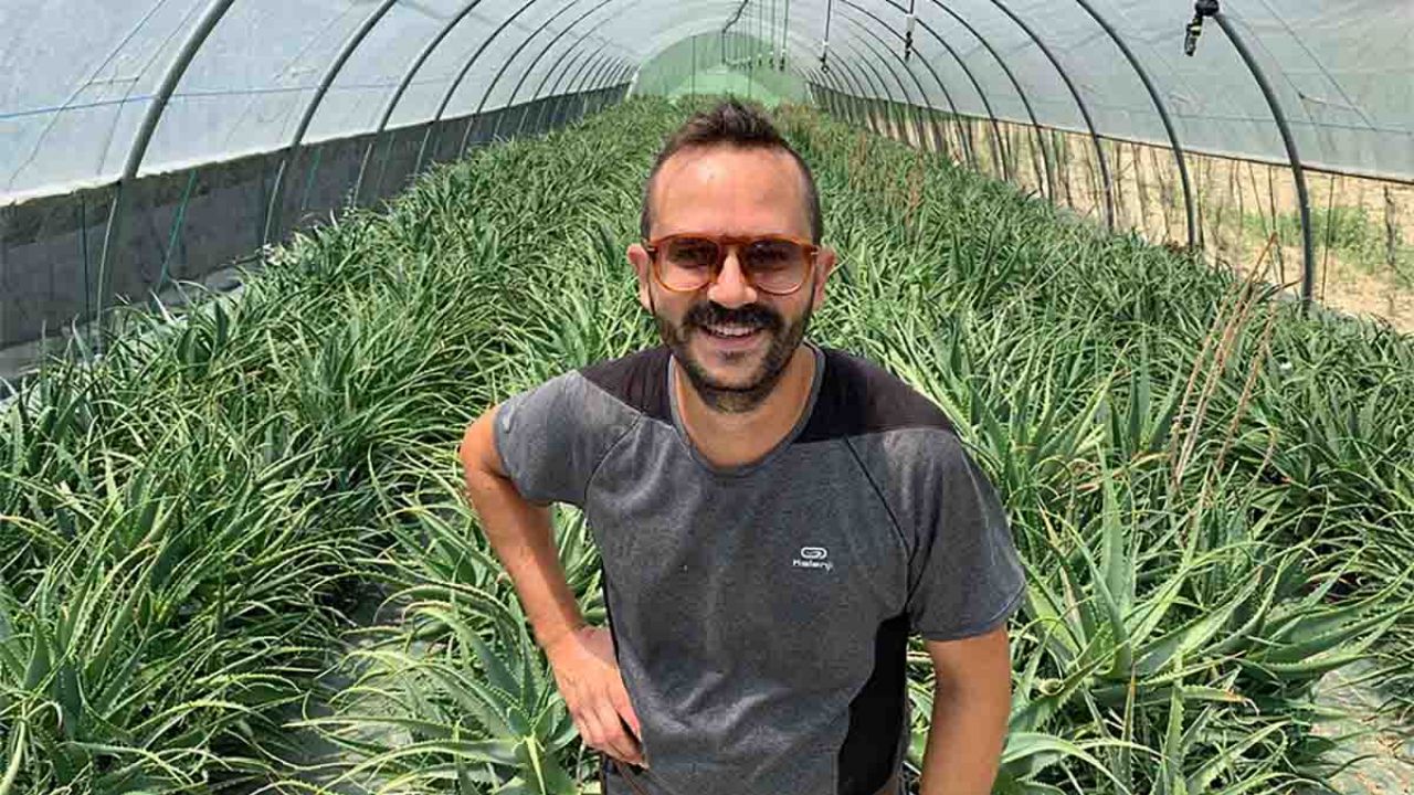erbe di mauro azienda agricola
