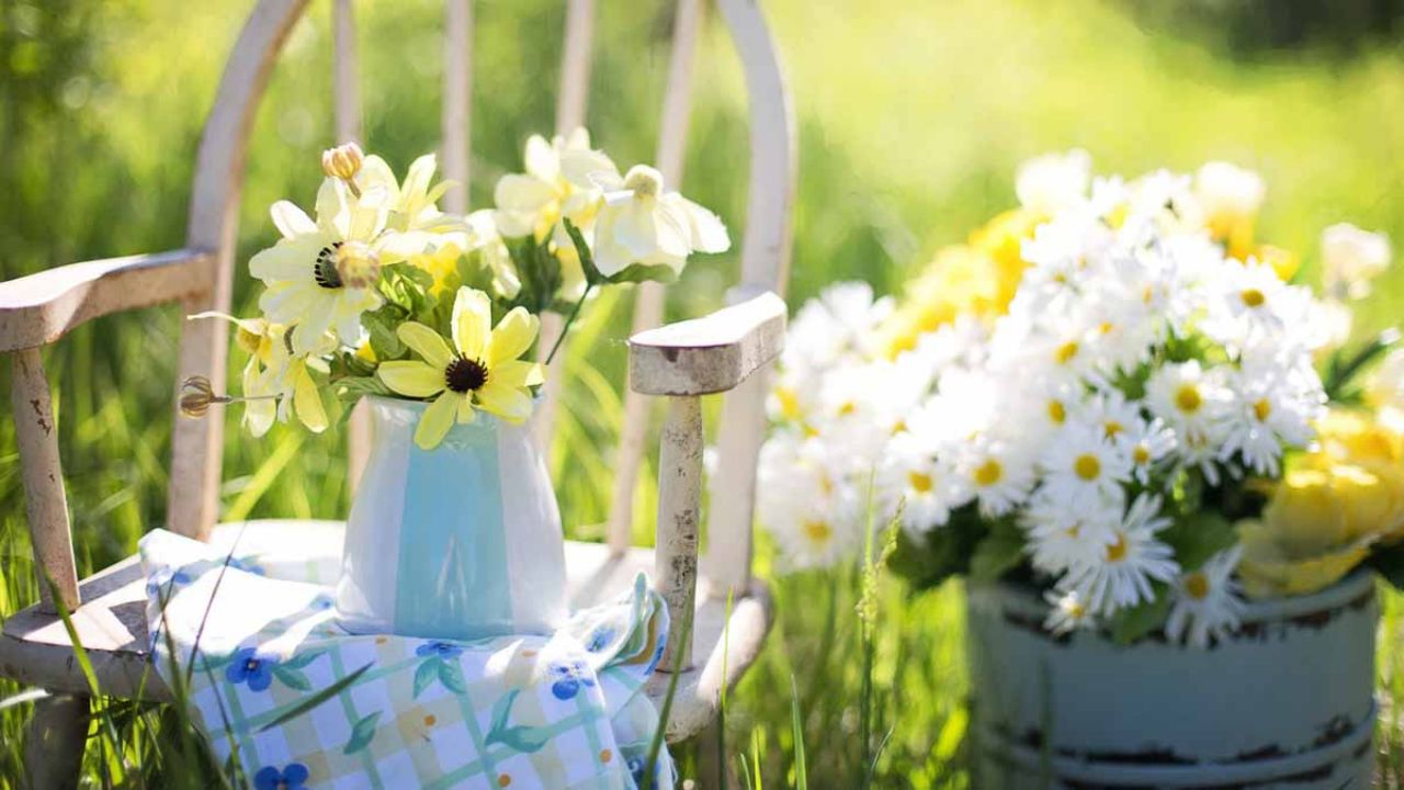 fiori commestibili quali sono