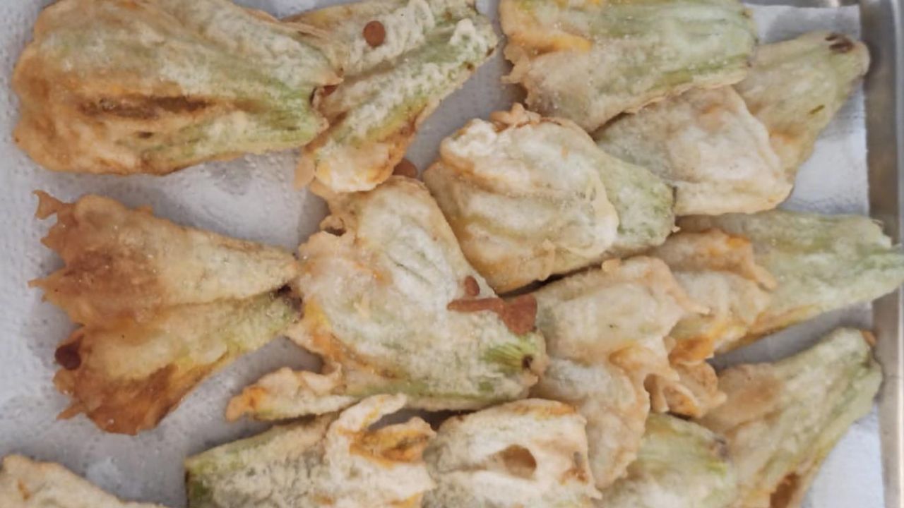 fiori di zucca fritti