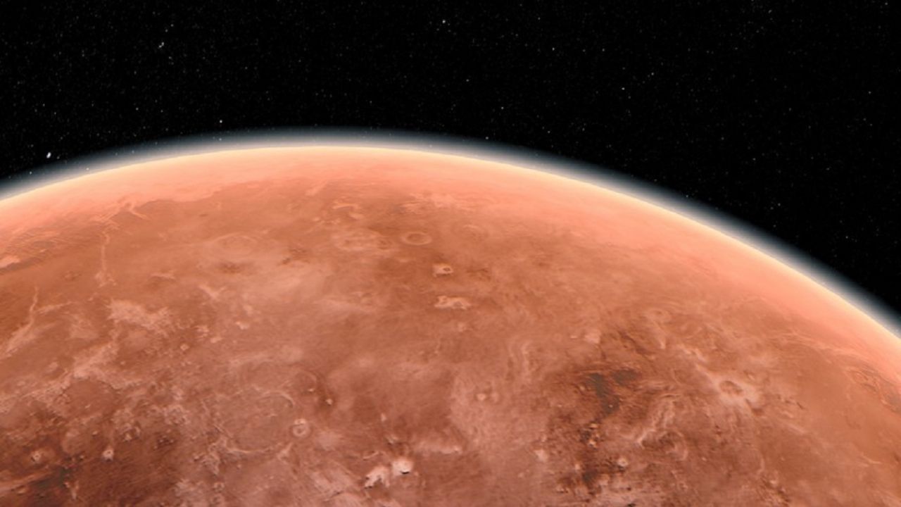 forme di vita su Venere