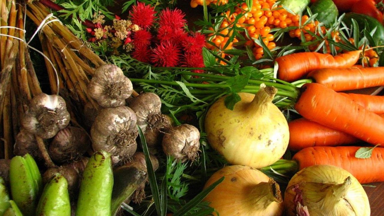 Frutta e verdura biologica più sane di quelle convenzionali