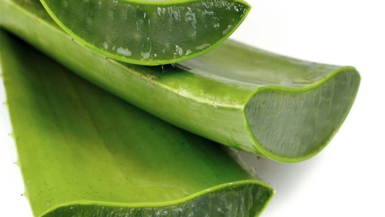 gel curativo con aloe vera