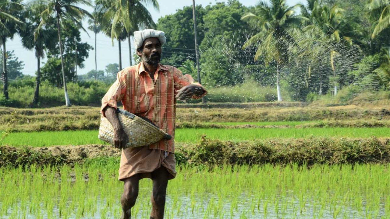 land grabbing