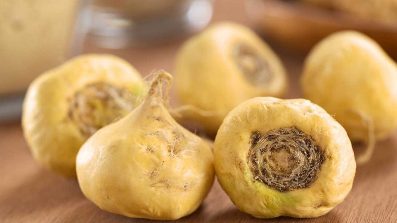 maca radice