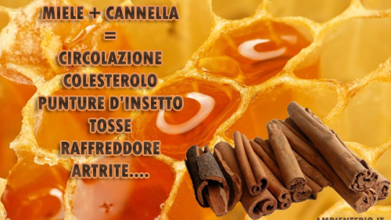 Le proprietà del miele e della cannella