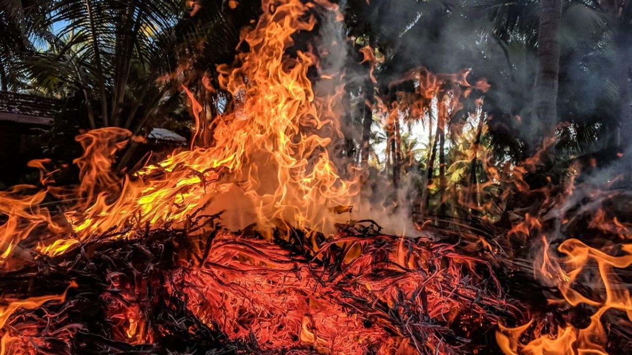 incendi in australia