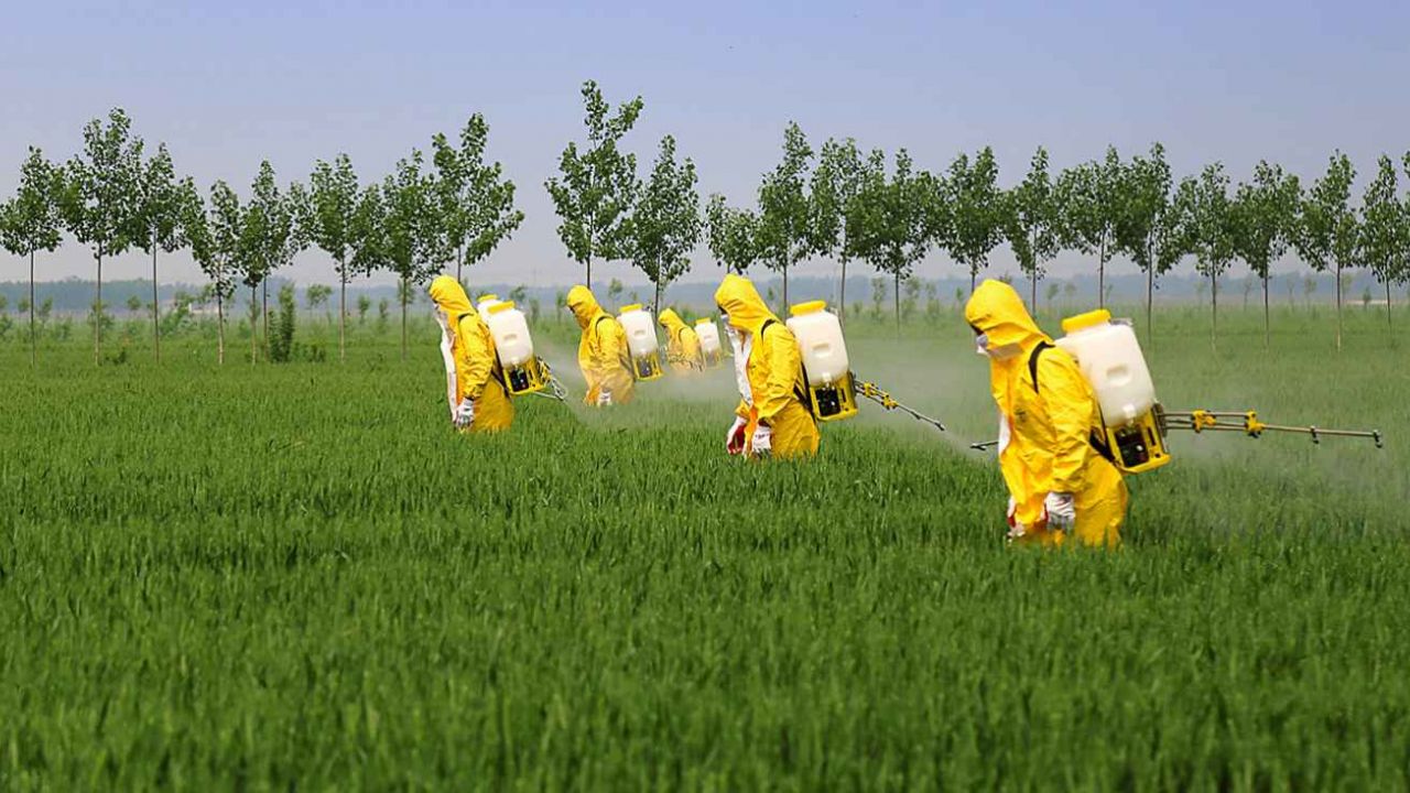 pesticidi tossici