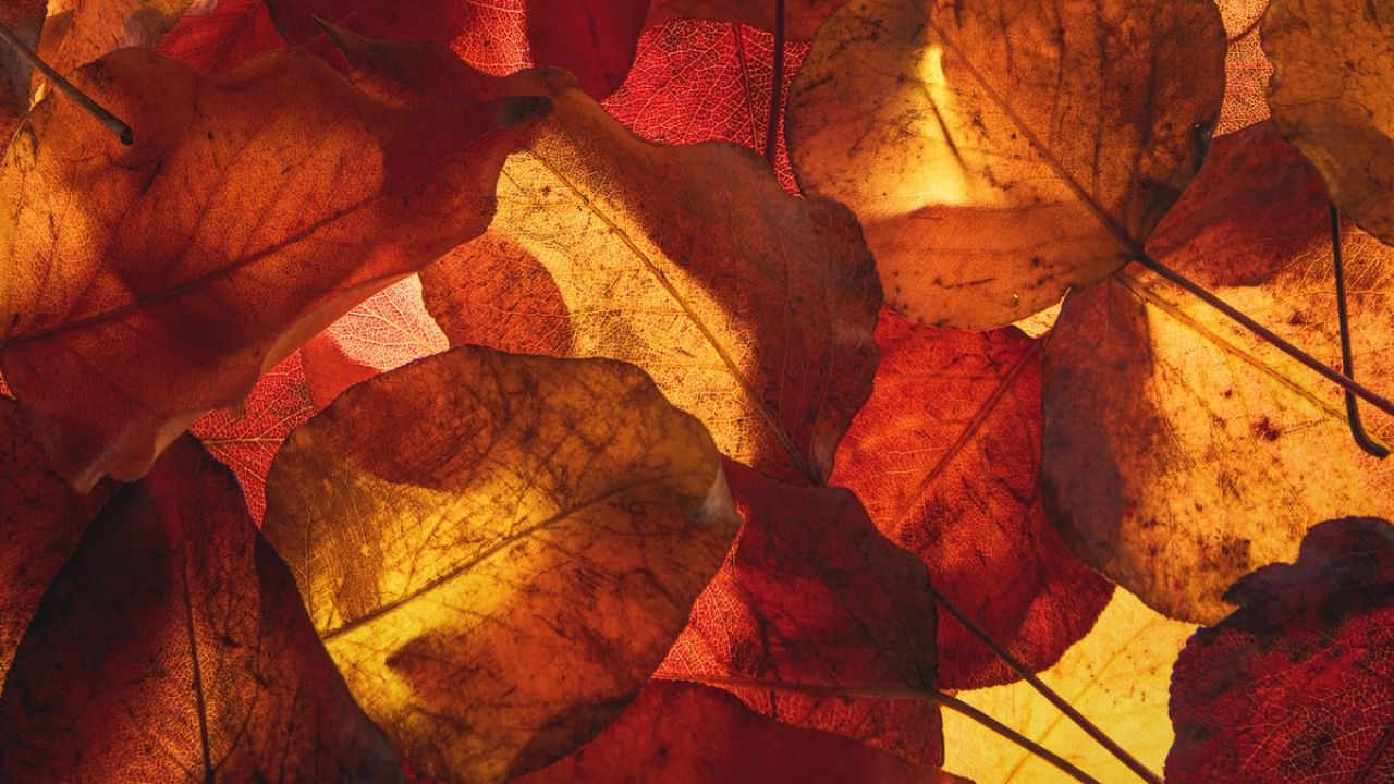 OTTOBRE