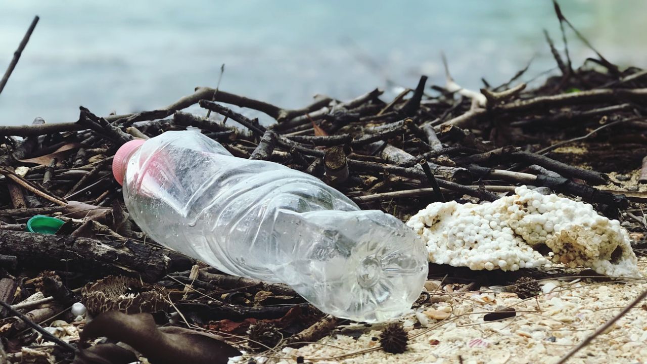 plastica monouso sostenibile