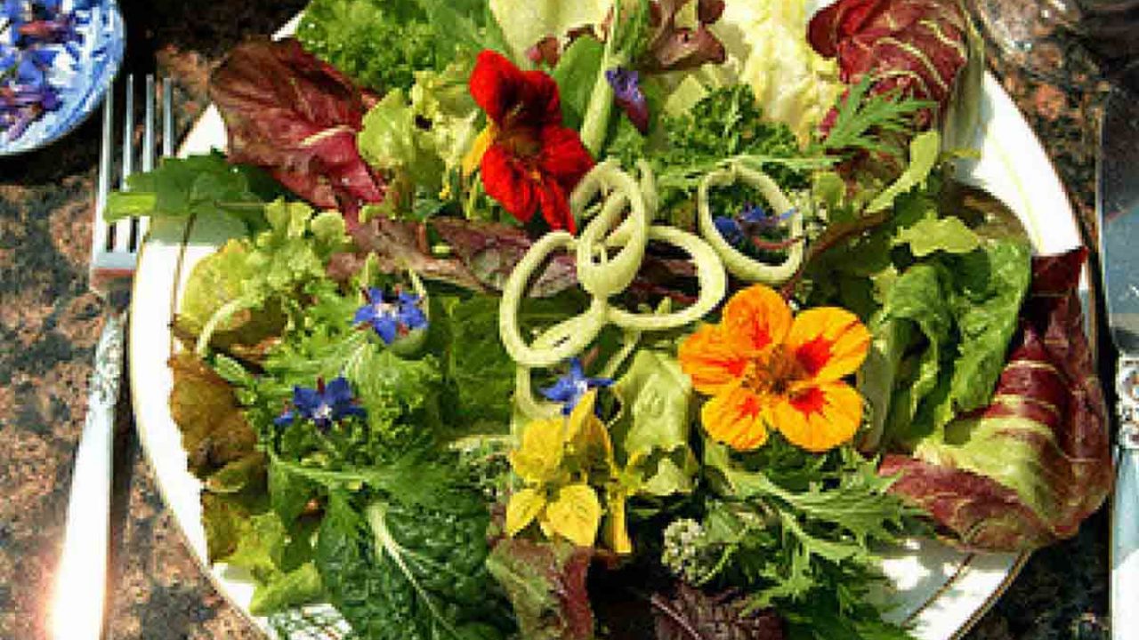 ricette con fiori