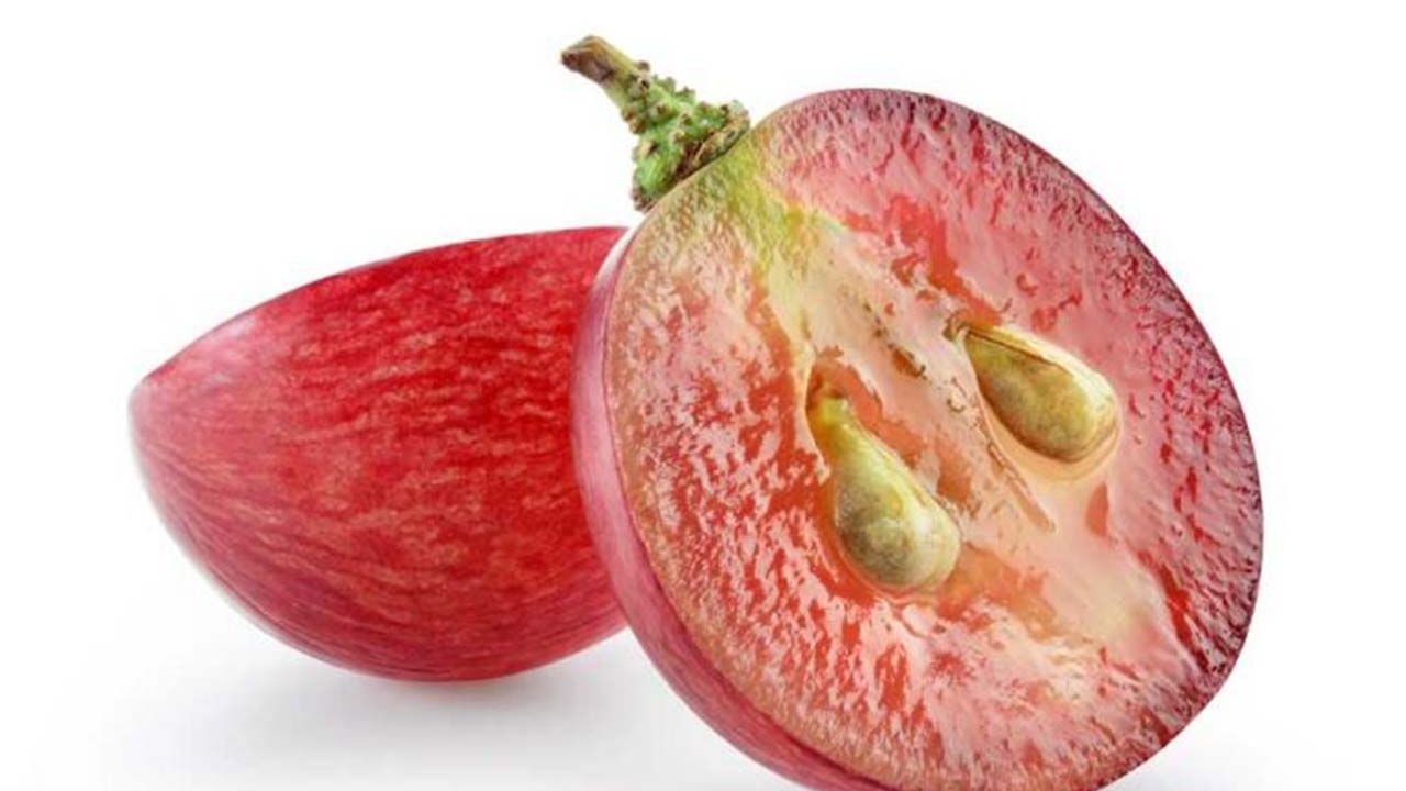 semi di uva