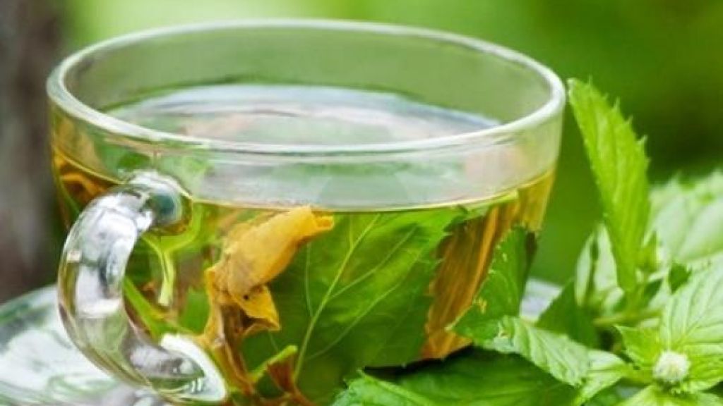 Le 7 tisane migliori per ricaricare il cervello e potenziare il sistema immunitario Ambiente Bio