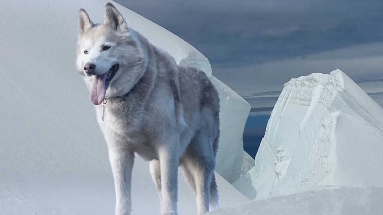 Games of Thrones