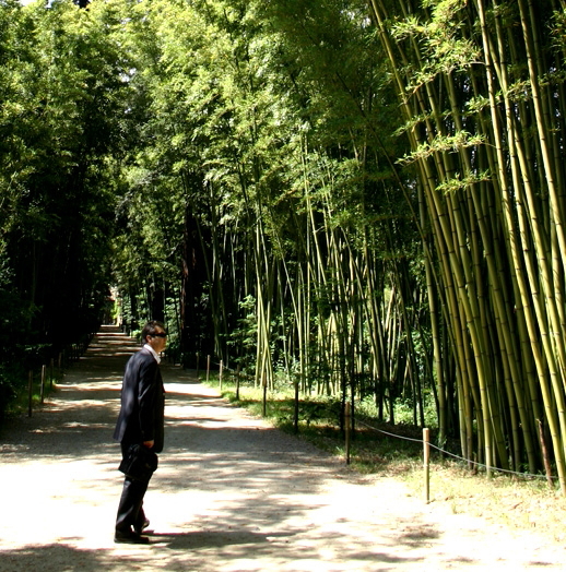 Utilizziamo bambù nella bioarchitettura