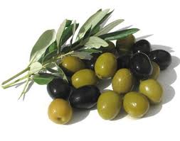 olive in salamoia