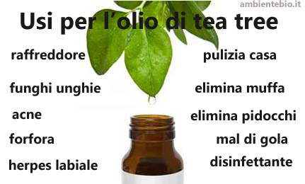 olio di tea tree 