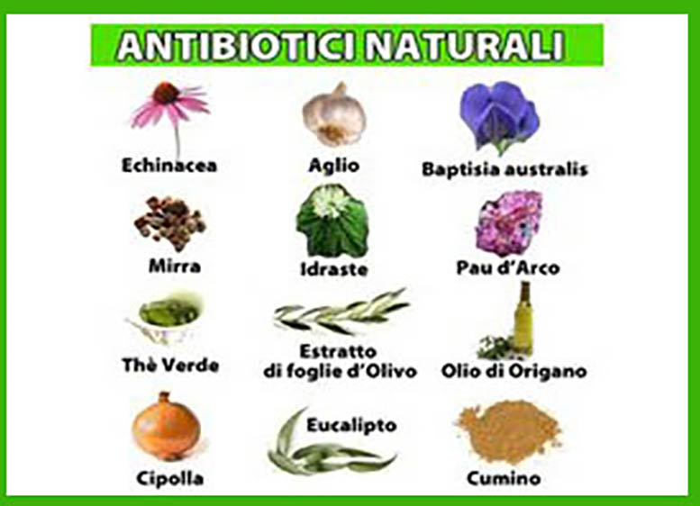 antibiotico naturale