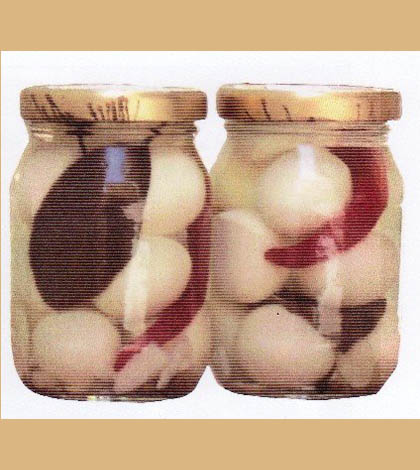 Trasformare gli alimenti per conservarli: le uova in salamoia