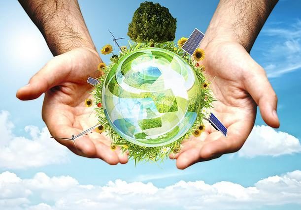 15 Piccole Azioni Quotidiane Che Possono Salvare Il Pianeta Ambiente Bio