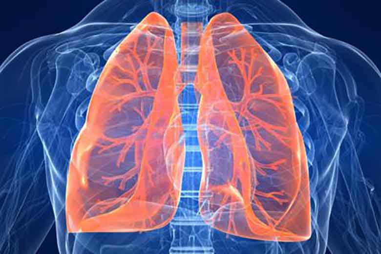 salute dei polmoni