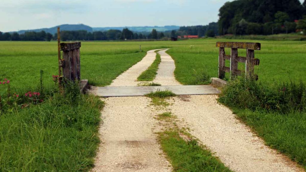 cosa piantare a settembre